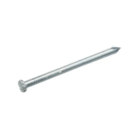 Homefix Draadnagel Vz Pk 4.0X100 | 100 gram - 6701.40.10160