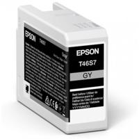 Originele inktcartridge Epson C13T46S700 25 ml Zwart Grijs