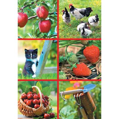 Wenskaarten blanco pak a 10 stuks