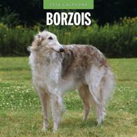 Barzoi Kalender 2026