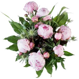 Bloemen - Boeket Pioenrozen (Middel)