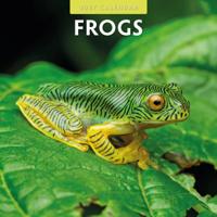 Kikker Kalender 2027