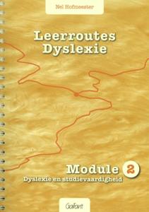Leerroutes Dyslexie (Paperback)