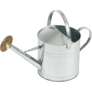 Ubbink Gieter - zilver - verzinkt staal - broeskop - 9 liter   -