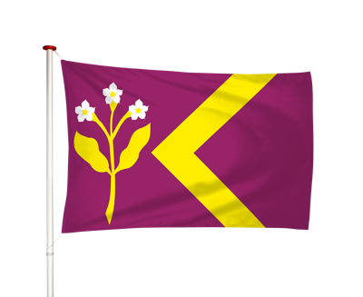 Vlag Zorgvliet
