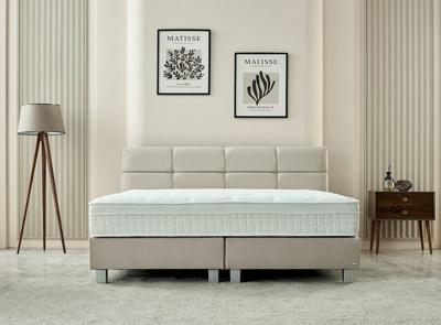 Dreamhouse - Vida Basic Boxspring - Beige - 180 x 200 / Met montage