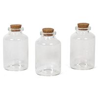3x Kleine decoratieve glazen flesjes met kurken dop 30 ml - Decoratieve flessen - thumbnail