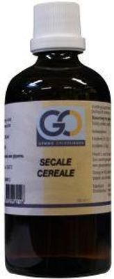 Secale cereale bio