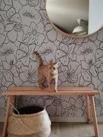Behang Wild Flowers Rol Grey