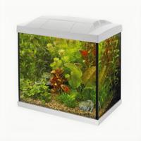 Superfish Start 50 Tropical Kit Wit - Volledige Aquariumset met Energiezuinige LED & Filter