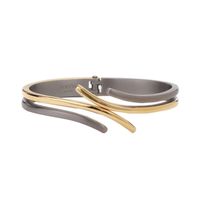 Boccia 0396-03 Armband Bangle Titanium zilver- en goudkleurig 63 mm