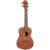 Ortega Bonfire Series RU4MM concert ukelele