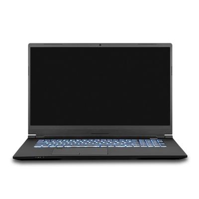 Clevo PC70DN2 Laptop - 17,3 inch - i7-10875H - Qwerty
