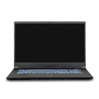Clevo PC70DN2 Laptop - 17,3 inch - i7-10875H - Qwerty