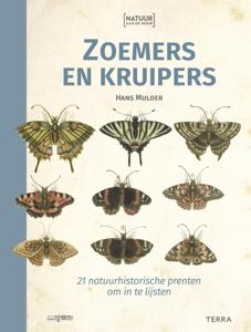 Zoemers en kruipers (Paperback)