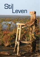 Stil Leven (Paperback)