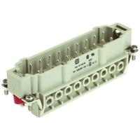 HARTING Stekkerinzetstuk 09340162601 Inhoud: 1 stuk(s)