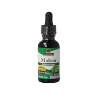 Mullein verbascum thapsus extract alcoholvrij 30 Milliliter