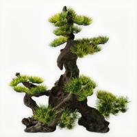Superfish Deco Bonsai Face XXL - Groot Oosters Aquarium Decor, Veilig voor Vissen