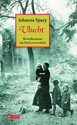 Vlucht - Johanna Spaey - ebook