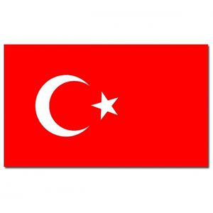 Gevelvlag/vlaggenmast vlag Turkije 90 x 150 cm   -