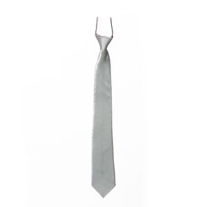Carnaval verkleed accessoires stropdas zijdeglans - zilver - polyester - heren/dames