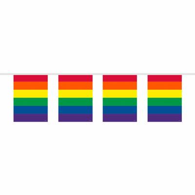 Vlaggenlijn Regenboog Vierkant - 10 meter