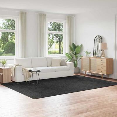 Antislip Shaggy Tapijt Donkergrijs 240 x 340 cm PP