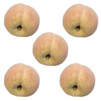 Bellatio Flowers & Plants kunstfruit - Set van 5x stuks - perzik - verzwaard - kunststof - 8 cm