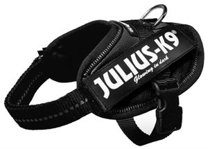 Julius k9 Idc power-harnas / tuig voor labels zwart