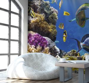 Fotobehang zee de onderwaterwereld van curaçao