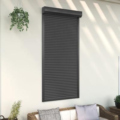 Rolluik 100x210 cm aluminium antracietkleurig