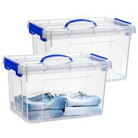 Opslagbox met deksel - 2x - transparant blauw - 18.5 liter - 42 x 30 x 24 cm - kunststof