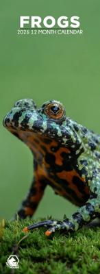 Kikkers Slimline Kalender 2026