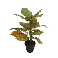 Rohdea in pot 45 cm kunstplant Buitengewoon de Boet - Buitengewoon de boet