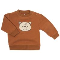 Sweater Bruin