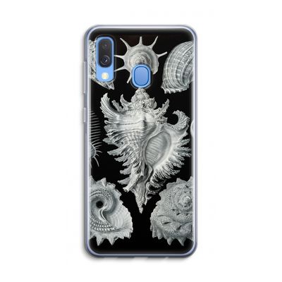 Haeckel Prosobranchia: Samsung Galaxy A40 Transparant Hoesje