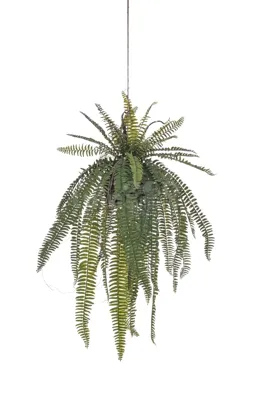 Kunst Hangplant Krulvaren 85cm