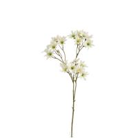 Zephyr Lely Kunsttak 45cm Creme
