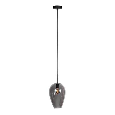 Steinhauer HanglampHaloSwap met 1 smoke glas Ø 22,5cm - 4289ZW