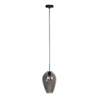 Steinhauer HanglampHaloSwap met 1 smoke glas Ø 22,5cm - 4289ZW