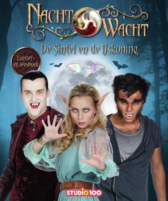 De sintel en de ijskoning (Hardback)