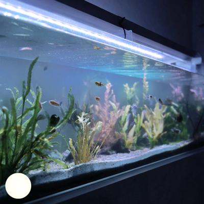 1,5 t/m 2 meter aquarium led strip koud wit