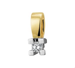 TFT Hanger Bicolor Goud Diamant 0.05ct H SI