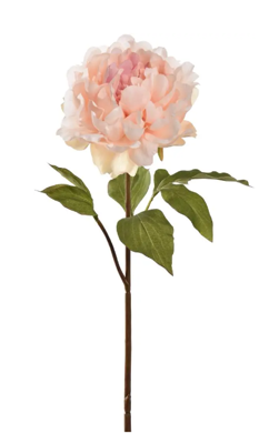 Pioensteel open l57 cm creme/roze kunstbloem zijde nepbloem - Jasaco