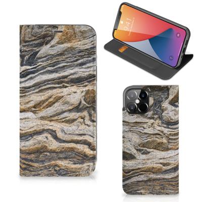 iPhone 12 Pro Max | Standcase | Steen
