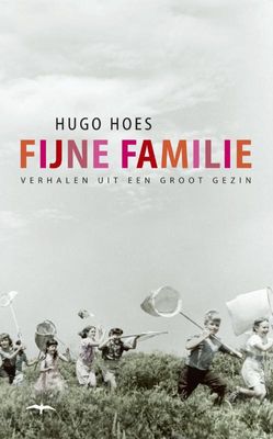 Fijne familie - Hugo Hoes - ebook