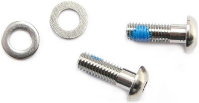 SRAM Mount.screw 15mm tit. f.flatmount pr.