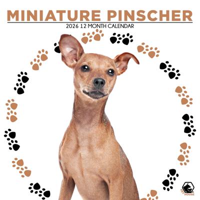 Miniatuur Pinscher Kalender 2026