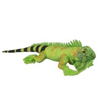 Nature Planet Knuffeldier Leguaan - zachte pluche stof - veel details - groen - 62 cm